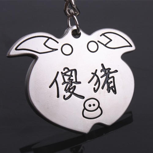 小猪笨整形手术笔记_1500字