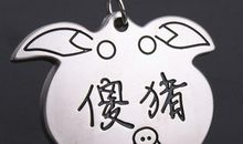 小猪笨笨整容记_1500字