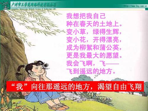 我渴望飞_600字
