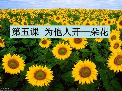 为别人开一朵花_600字