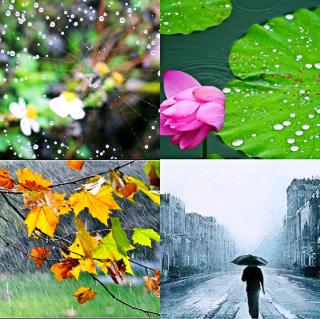 Rain_1200个单词的“四个季节”
