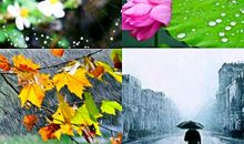 雨的“四季”_1200字