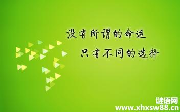 成功的精选报价