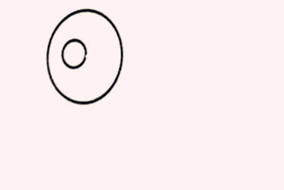 小鸟也有一个other_400字