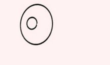 小鸟也有妈妈_400字