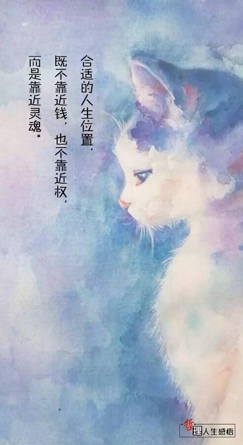 找到你的position_800个单词