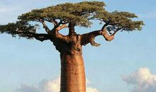 看你这一生有没有富贵命(5)