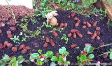 与国同行，去迎风雨，后摘瓜果