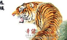 高瞻远瞩方可上山_700字