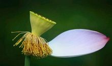 给生命一个微笑_900字