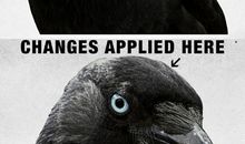 乌鸦的梦想_350字