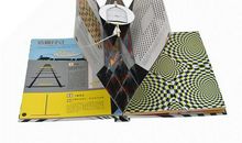 缔造的假象_1000字