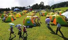 曲折也是一种美丽_800字