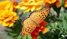 人生如春夏秋冬