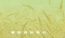 但求随心，勿忘本心_1000字