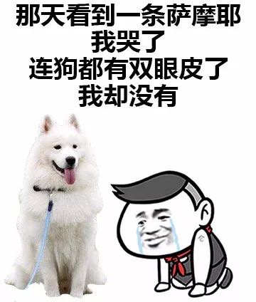那天我流了眼泪