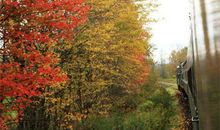 细品每一处风景_900字