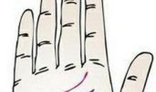 对待生命，需要的是理性