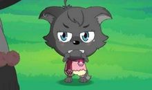 山寨狼？主流羊？_1000字