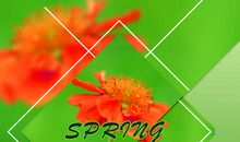 四季如歌_1000字