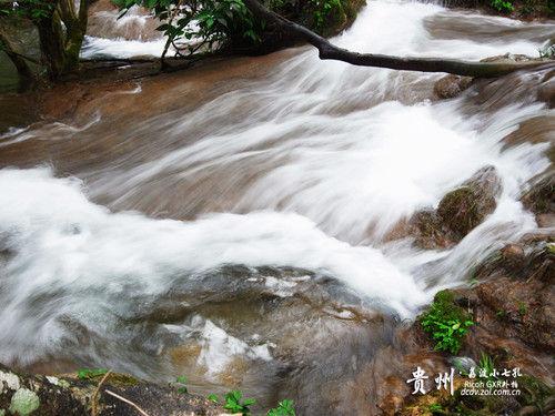 探索河流的秘密