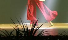 在尝试中成长_1200字