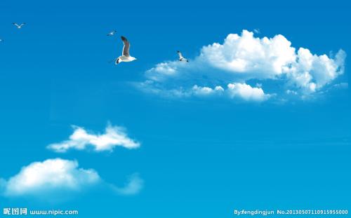 我是一只永不偏离group_1500个单词的鸟