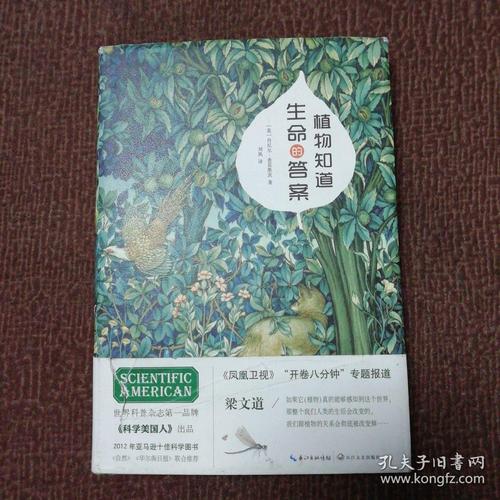 漂亮的答案