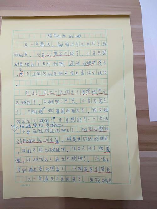 去年的树继续