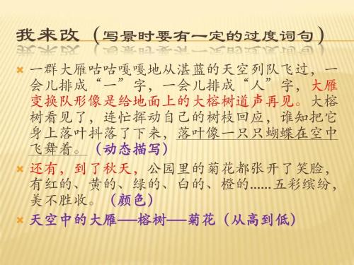 风景构成：落叶_600字