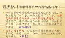 写景作文：落叶_600字