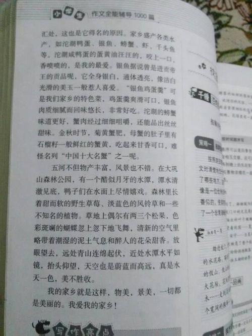美丽的故乡_600字