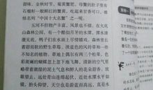 美丽的家乡_600字