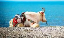 刹那间，我发现了别样的美_1200字