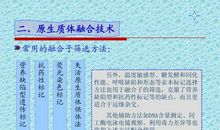 剧毒冰冷（第十三章）融合_1000字