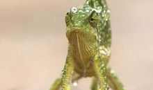 我的人生〔第六十五章〕龙绫儿_1000字