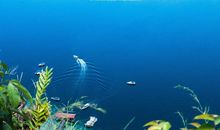 如人爬山，美景自知_1200字