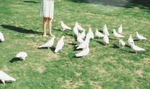 鱼儿，倩儿_1200字