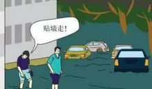 行走在知识的大道上