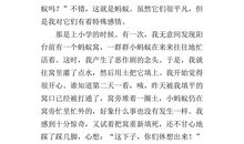 蚂蚁的启示_500字