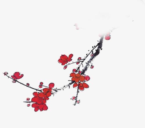 梅花