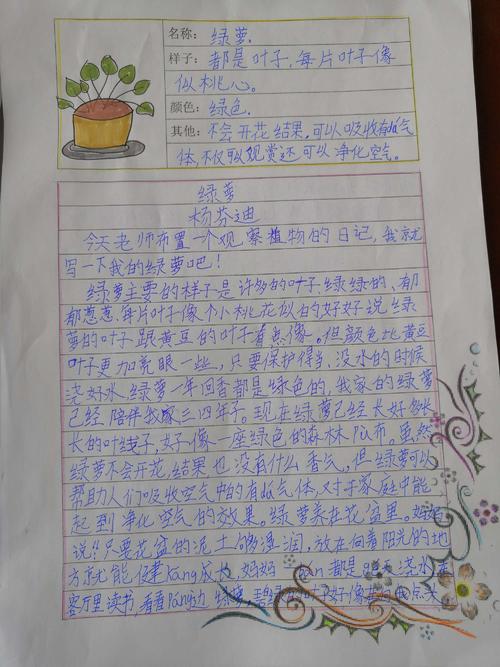 我厂的朋友三年级作文