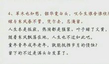 描写学习的好词佳句