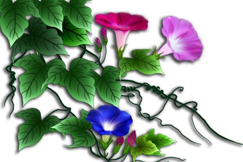 喇叭花