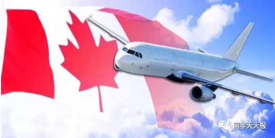 做一个plane_400个单词