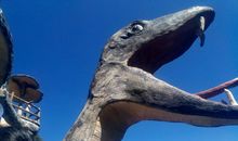 一次有意义的夏令营