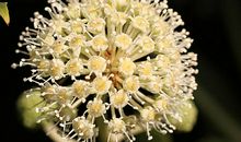 快乐是一种能力