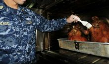 紧张的备台时刻