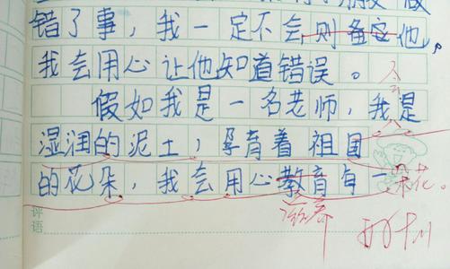 如果我是老师