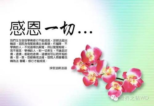 因为爱，所以感激_700字